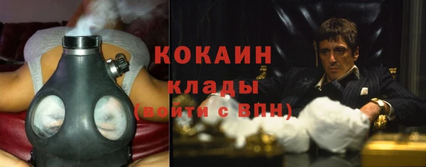 твердый Алексин