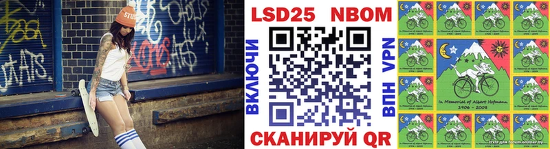 где можно купить   Шенкурск  блэк спрут зеркало  Наркотические марки 1,8мг 