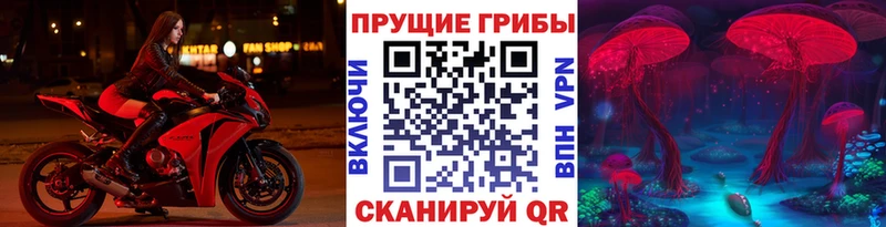 Псилоцибиновые грибы прущие грибы  mega ТОР  Шенкурск 